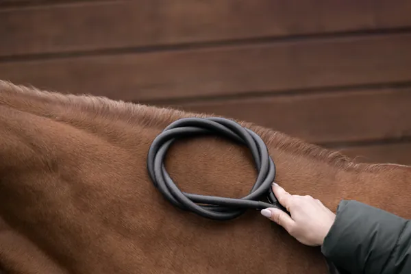 magXcell Anwendung am Pferderücken