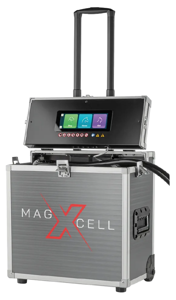 magXcell Therapiesystem für Magnetfeldtherapie bei Pferd, Hund und Katze